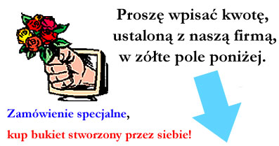 &nbsp;Zdj�cie produktu&nbsp;