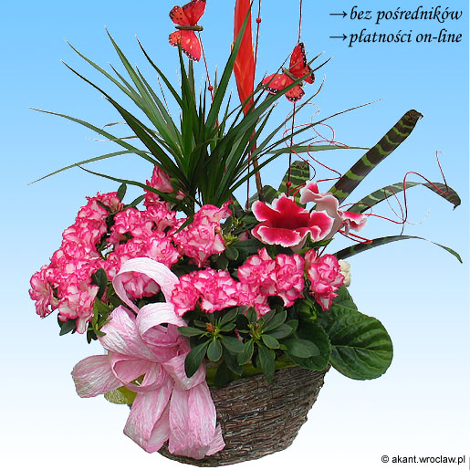 &nbsp;Zdj�cie produktu&nbsp;